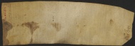 42 D.8.XXXVIIv, Donazione fatta da diversi uomini di Montebaranzone a favore di S. Geminiano, [Modena], [1120-1125, giu. 24]